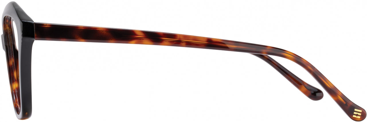 2 - Tortoise / Black