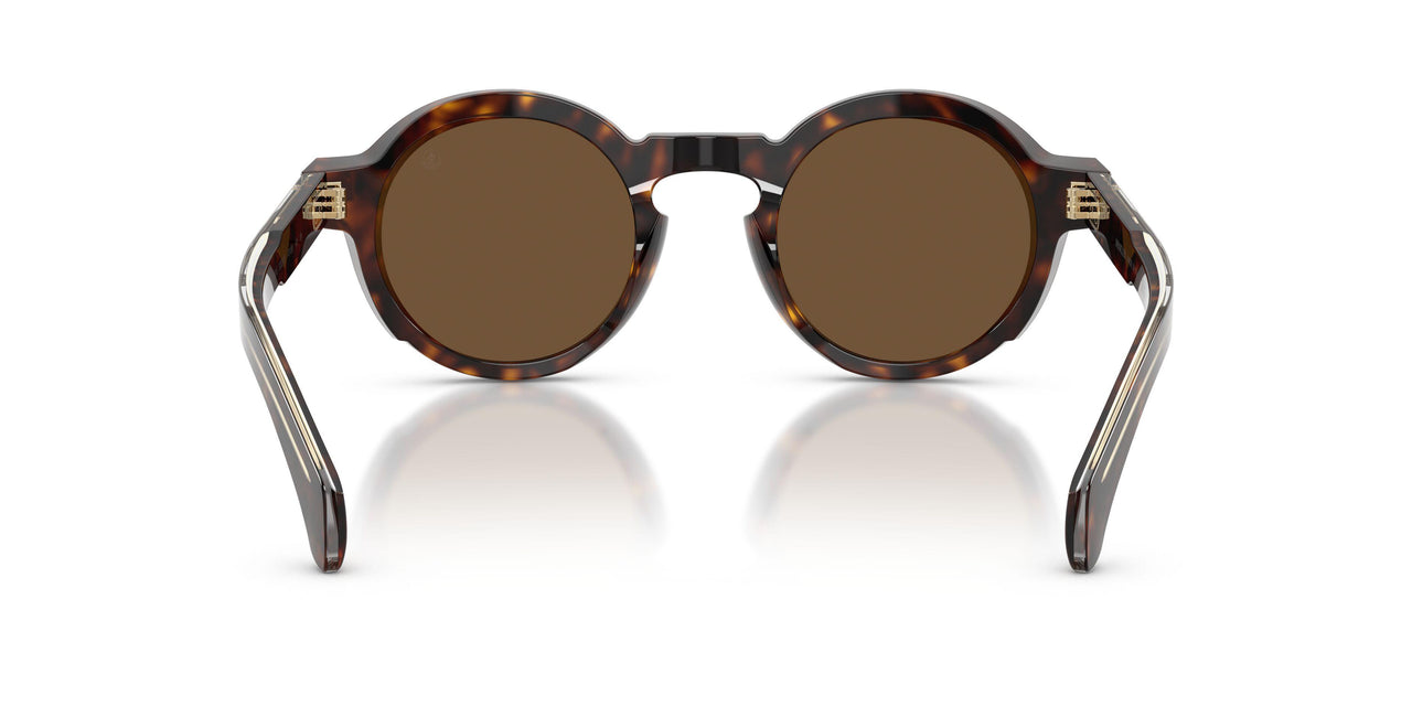 300273 - Tortoise - Solid Brown