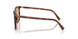 26E10R - Brown - Yellow