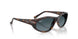710/S3 - Tortoise - Polarized Light Blue Gradient