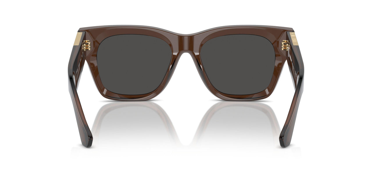 411687 - Brown - Dark Grey