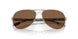 407914 - Rose Gold - Brown Gradient Polar