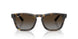 710/T5 - Tortoise - Polarized Light Grey Gradient Brow