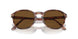 120957 - Red - Polar Brown