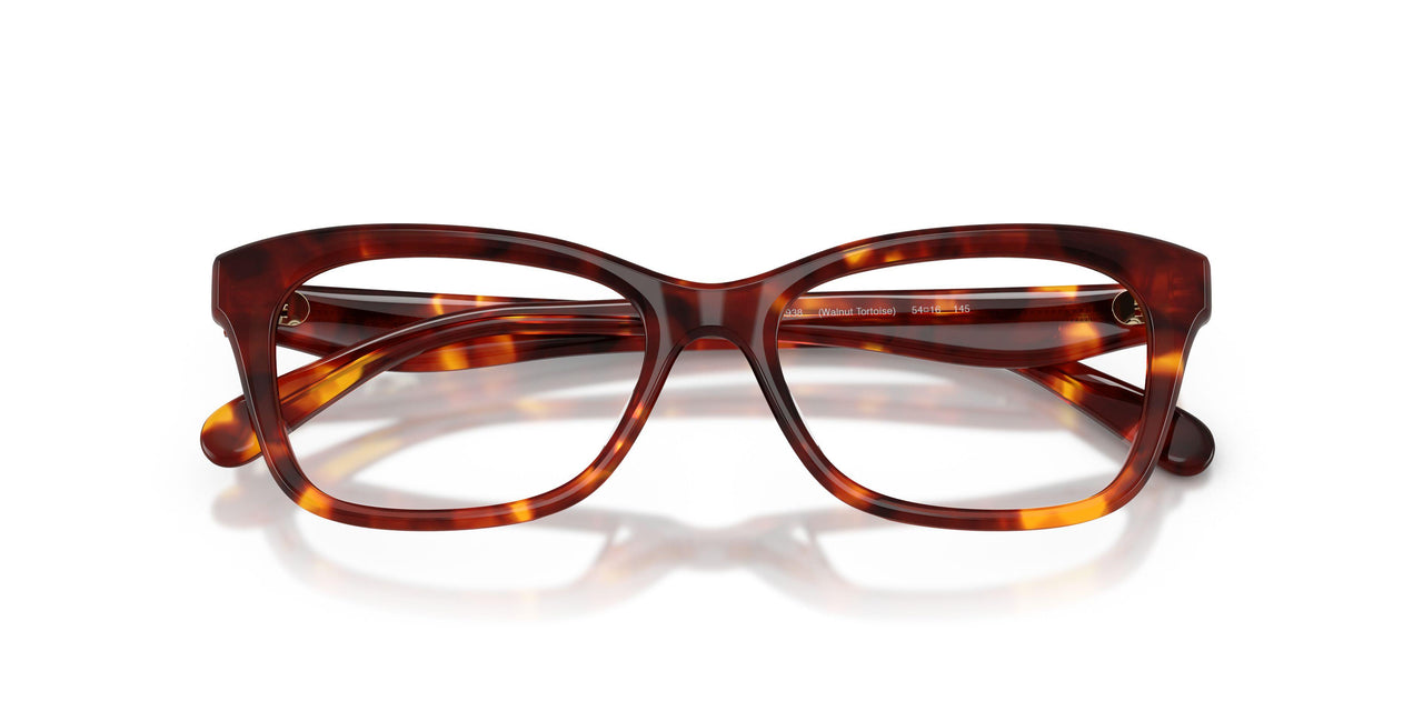 5938 - Tortoise