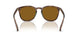 500383 - Tortoise - Dark Polar Brown