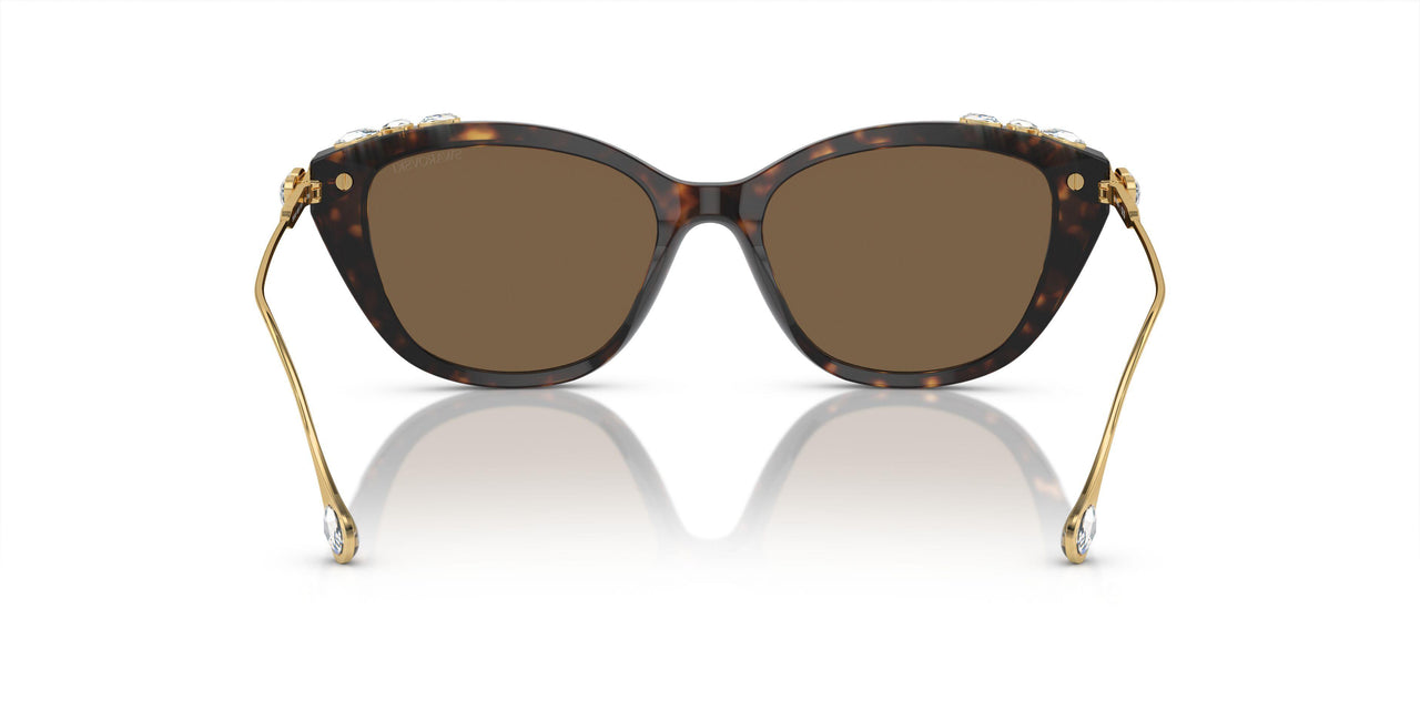 100273 - Tortoise - Dark Brown