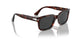 24/48 - Tortoise - Polar Black