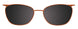 10 - Matt Golden Brown & Shiny Grey / Matt Golden Brown