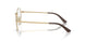 5021 - Brown