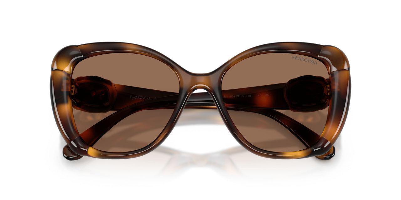 100273 - Tortoise - Dark Brown