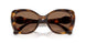 100273 - Tortoise - Dark Brown