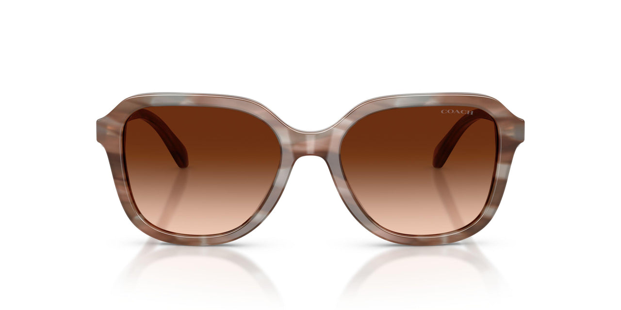 590174 - Brown - Brown Gradient