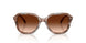590174 - Brown - Brown Gradient