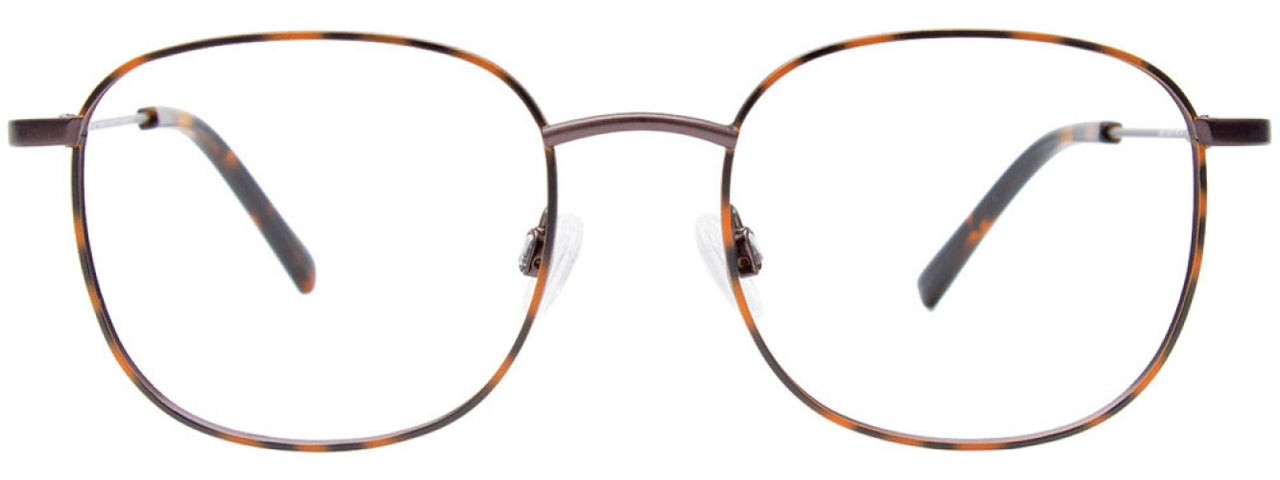 10 - Brown Tortoise / Black