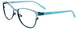 60 - Satin Dark Teal & Aqua