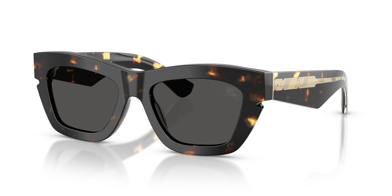 410687 - Tortoise - Dark Grey