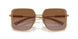 100213 - Brown - Brown Gradient