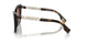 300213 - Brown - Brown Gradient