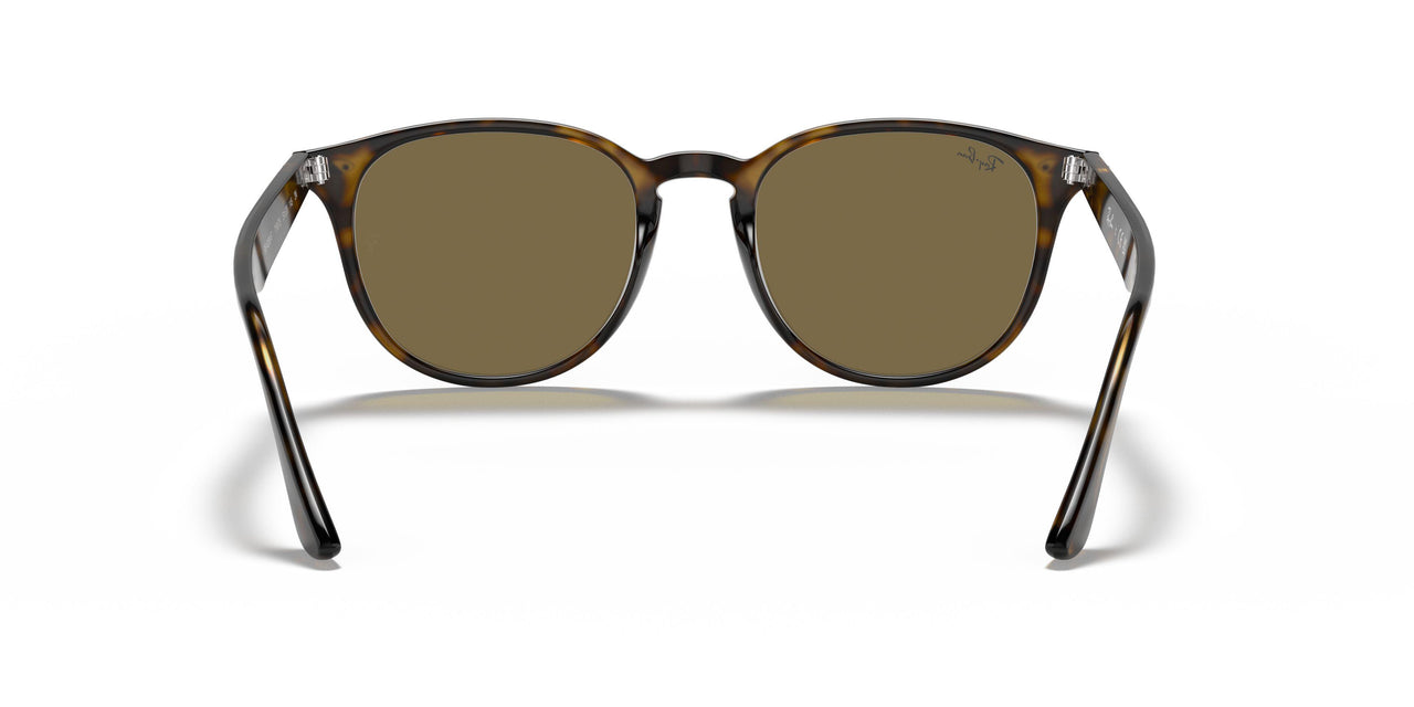 710/73 - Havana - Brown