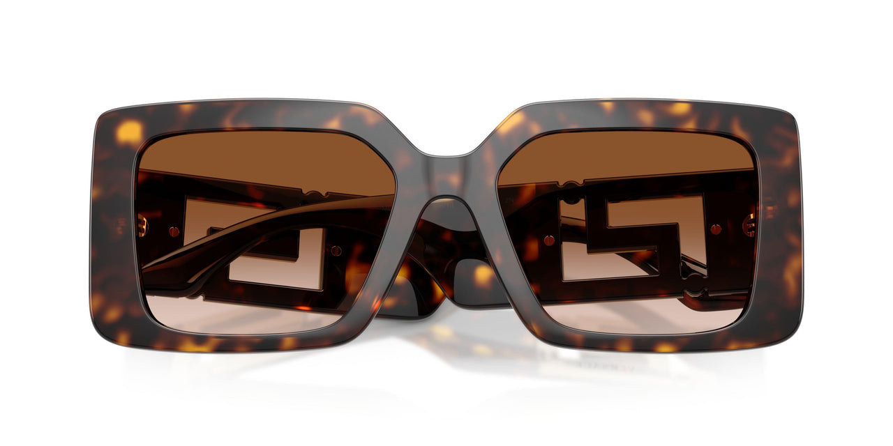 108/13 - Tortoise - Brown Gradient