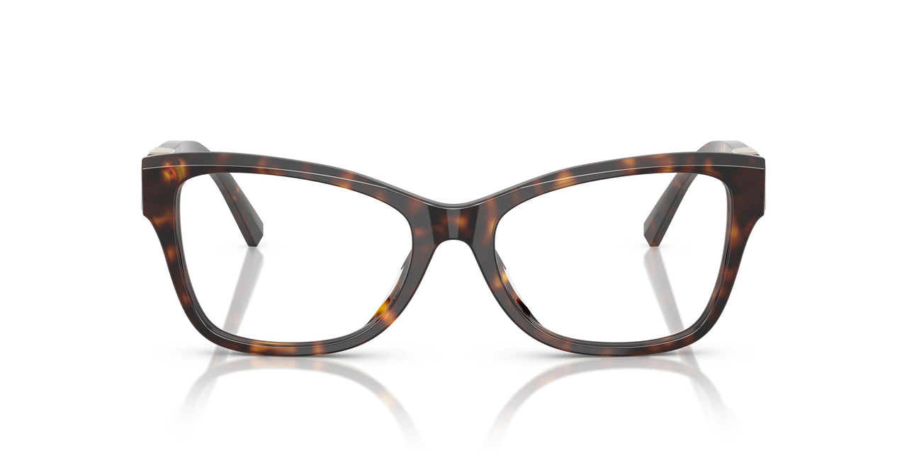 8015 - Tortoise