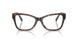 8015 - Tortoise