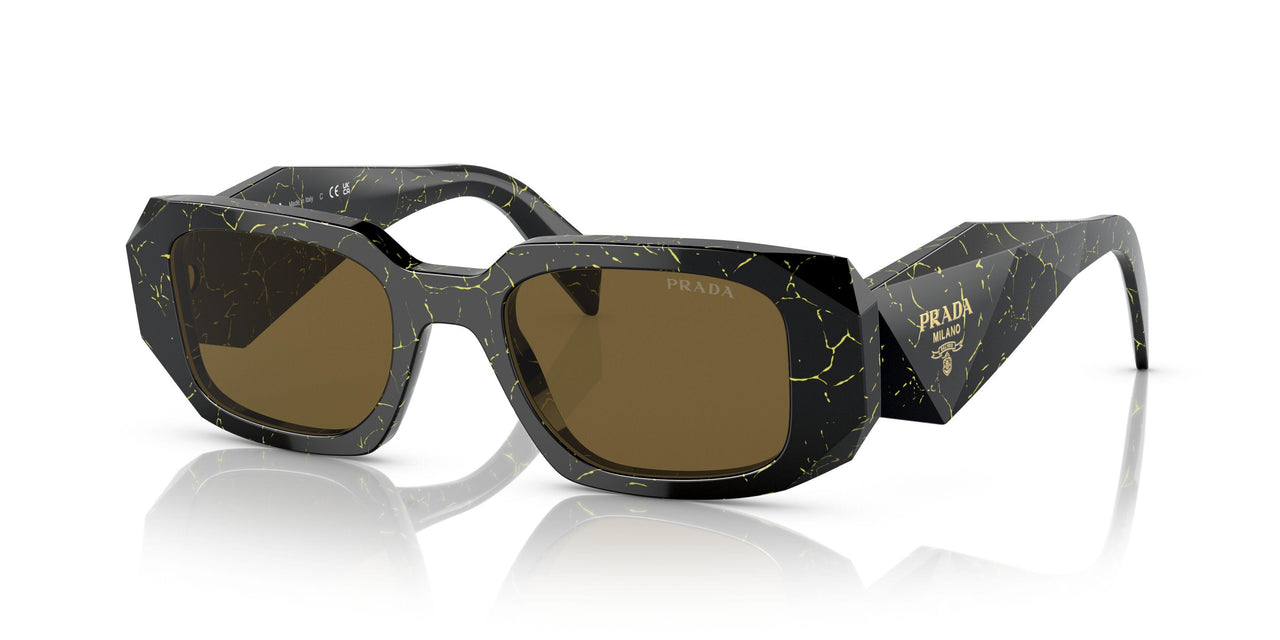 19D01T - Black - Dark Brown