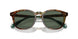 501771 - Tortoise - Bottle Green