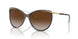 601/3B - Brown - Gradient Brown