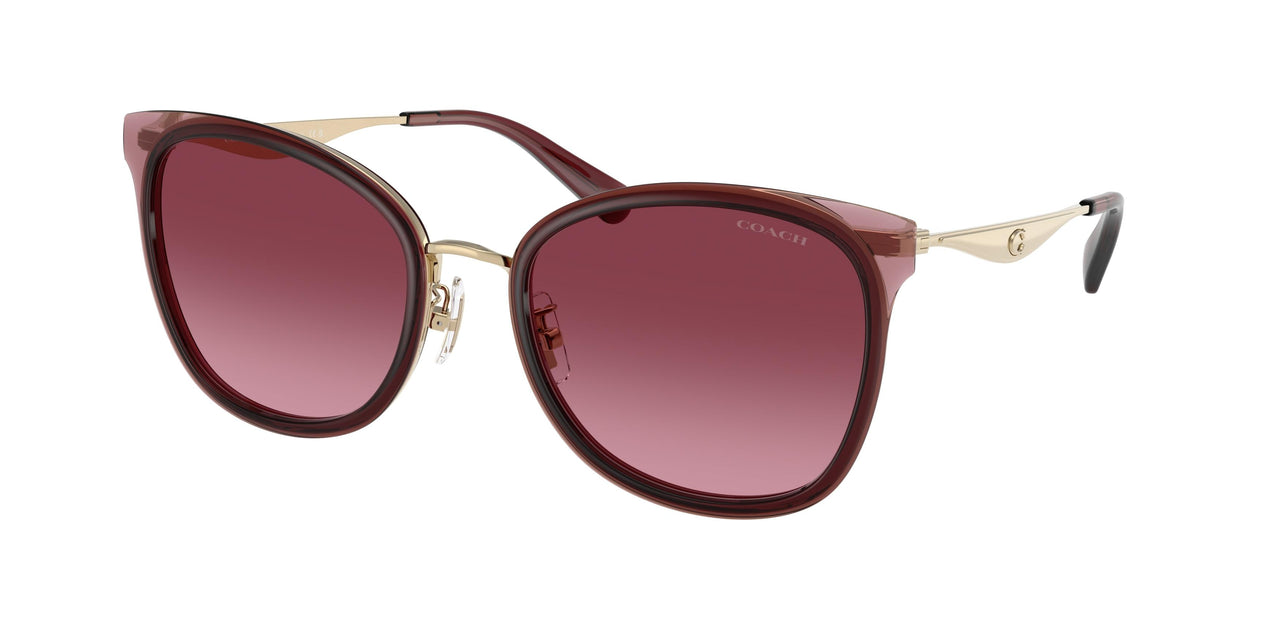 Coach Cw185 7170 Sunglasses