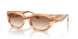 617913 - Brown - Brown Gradient