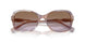 634068 - Tortoise - Gradient Violet