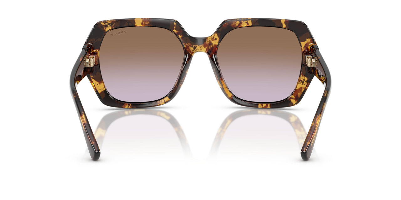 317968 - Tortoise - Violet Gradient Brown