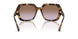 317968 - Tortoise - Violet Gradient Brown