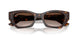 135913 - Tortoise - Gradient Brown