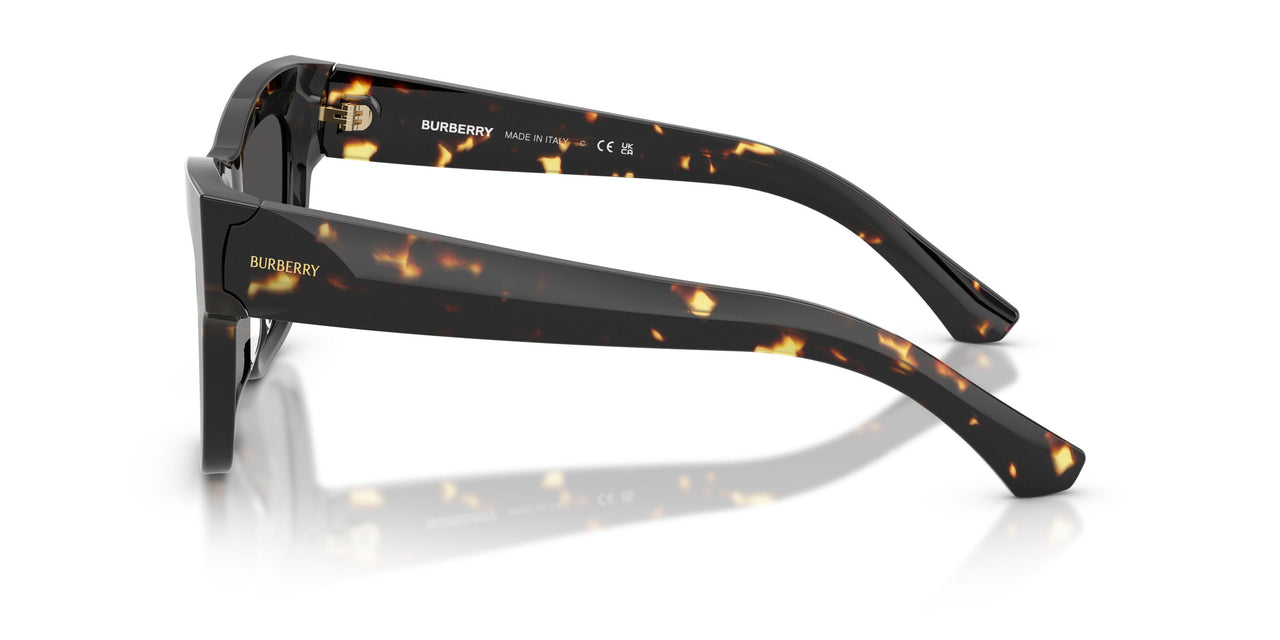 410687 - Tortoise - Dark Grey
