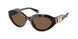 328873 - Tortoise - Brown Solid