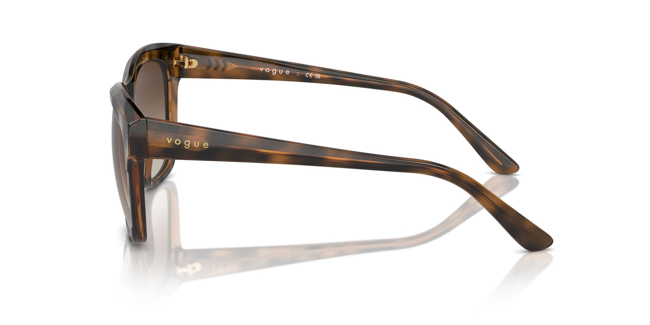 238613 - Brown - Brown Gradient