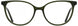 Adin Thomas AT686 Eyeglasses