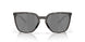 948003 - Black - Prizm Black Polarized