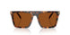 390473 - Tortoise - Brown Solid