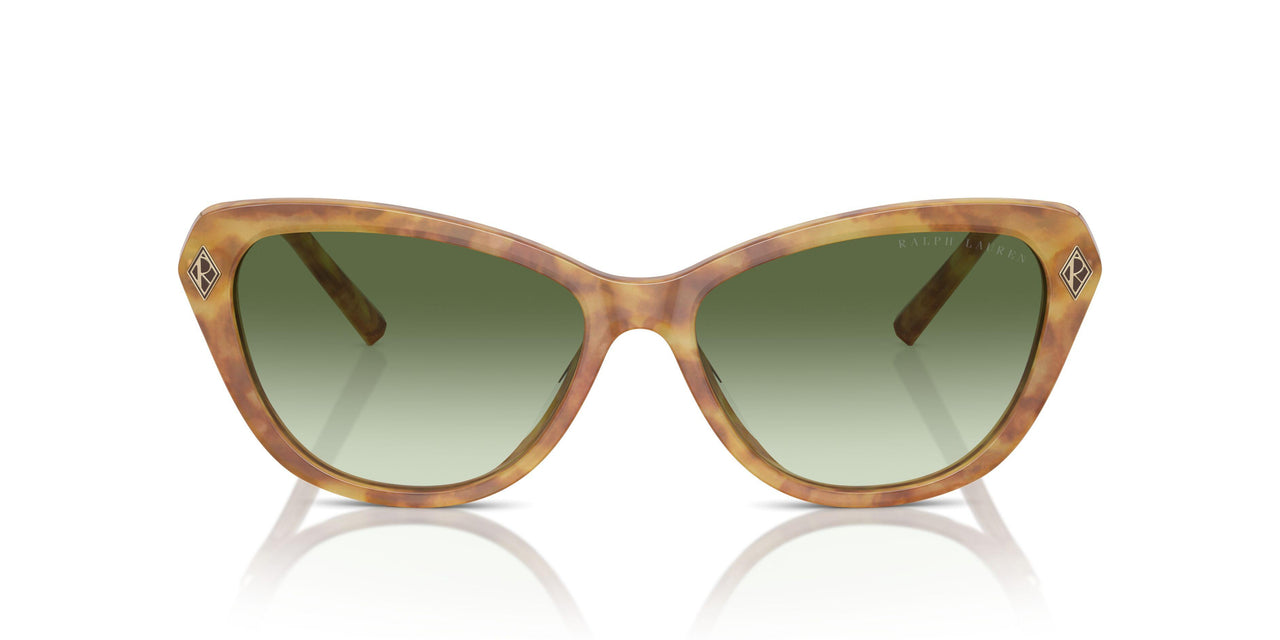 53043M - Tortoise - Gradient Green
