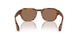 002/83 - Brown - Polar Brown