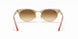 130851 - Red - Clear Gradient Brown