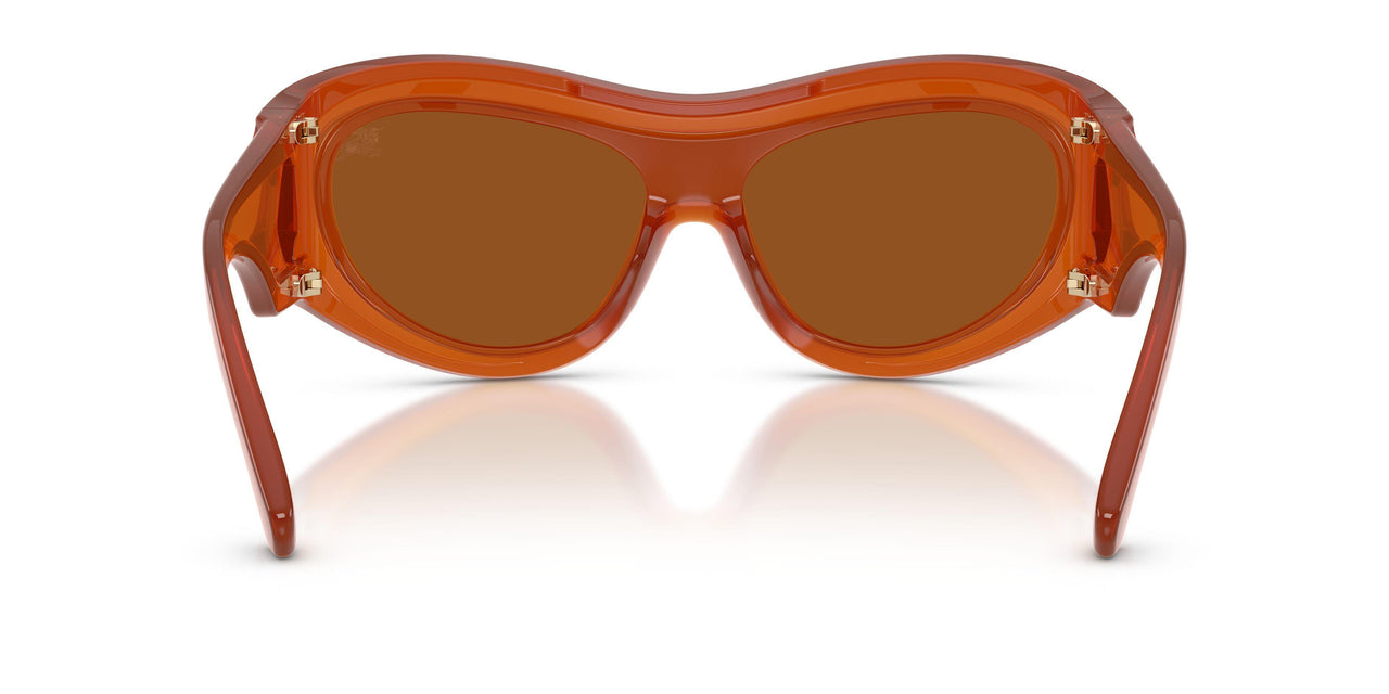 415273 - Red - Dark Brown