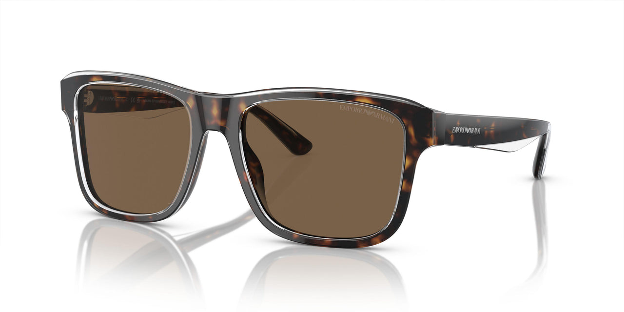 605273 - Tortoise - Dark Brown