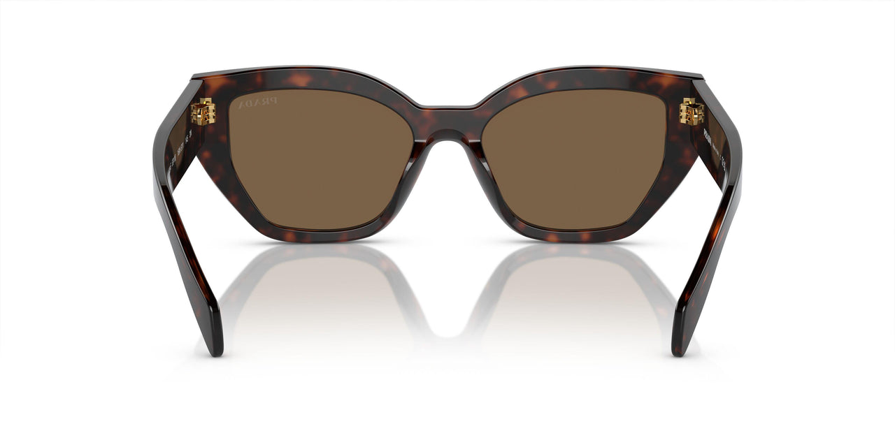 16N5Y1 - Brown - Dark Brown Polar