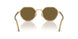 630073 - Tortoise - Dark Brown