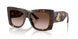 500213 - Tortoise - Gradient Brown